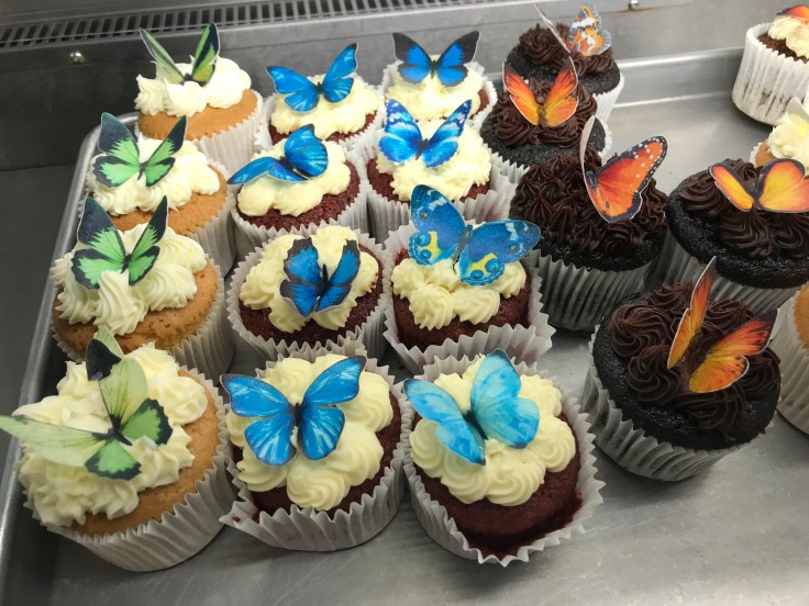 Beautiful Butterflies at RHS Wisley