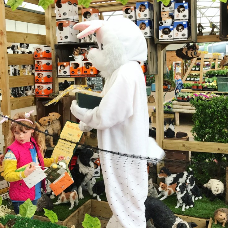 Easter Bunny Afternoon Tea at Wyevale Garden Centre