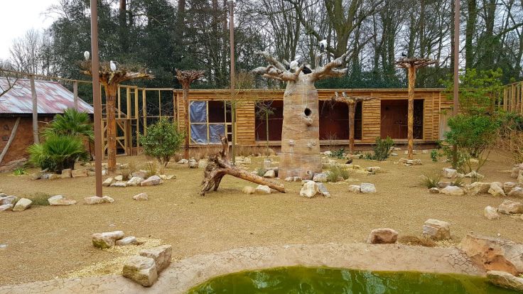 Little Africa at Paultons Park