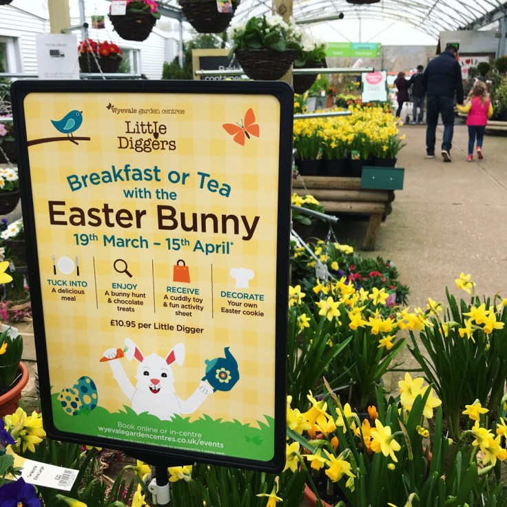 Easter Bunny Afternoon Tea at Wyevale Garden Centre