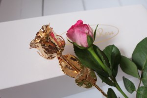 My 24k Gold Eternity Rose