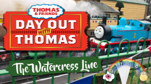 Day Out With Thomas Review