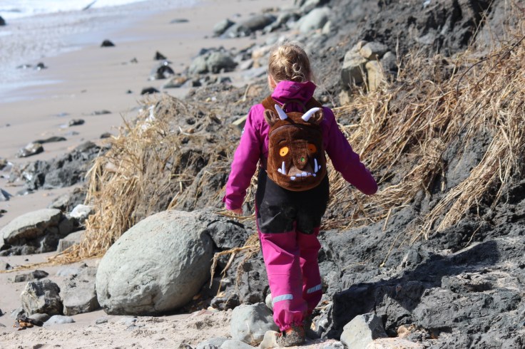Fossil Hunting at Barton-On-Sea 