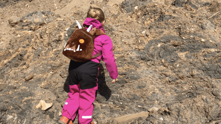 Fossil Hunting at Barton-On-Sea 
