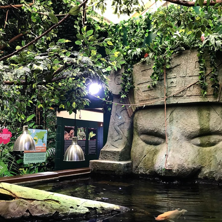 Into the Blue with Blue Reef Aquarium