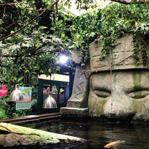 Into the Blue with Blue Reef Aquarium