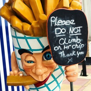 Into the Blue with Blue Reef Aquarium