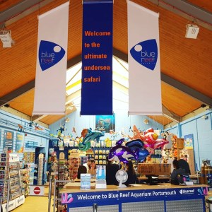 Into the Blue with Blue Reef Aquarium