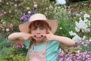 Mottisfont Roses 2018