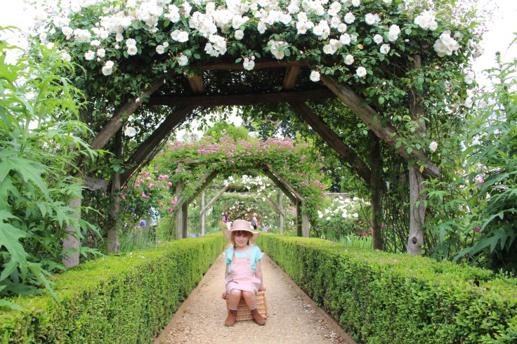 Roses at Mottisfont, Hampshire