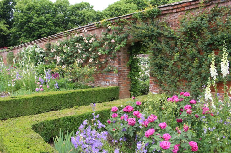 Roses at Mottisfont, Hampshire