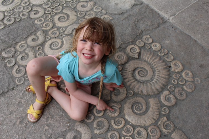 Lyme Regis Fossil Museum