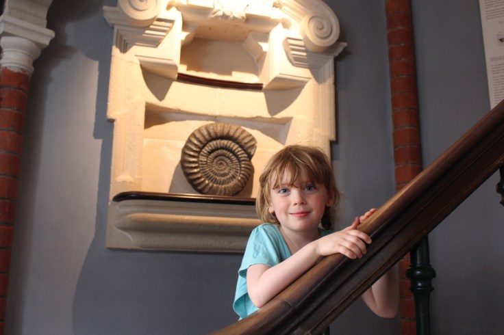 Lyme Regis Fossil Museum