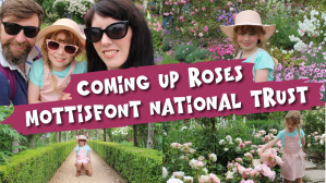 Roses at Mottisfont, Hampshire