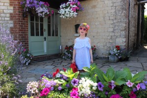 Lavender Fields in the UK