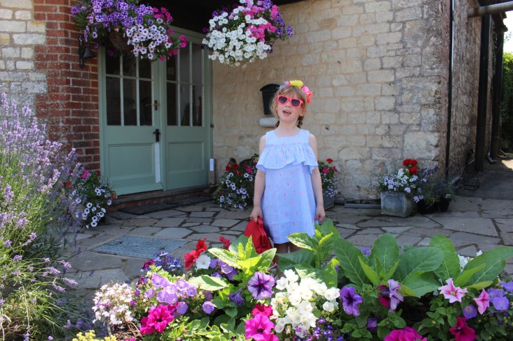 Lavender Fields in the UK