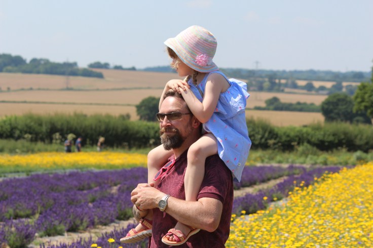 Lavender Fields in the UK