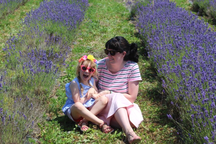 Lavender Fields in the UK