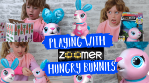 Zoomer hungry bunnies shreddy