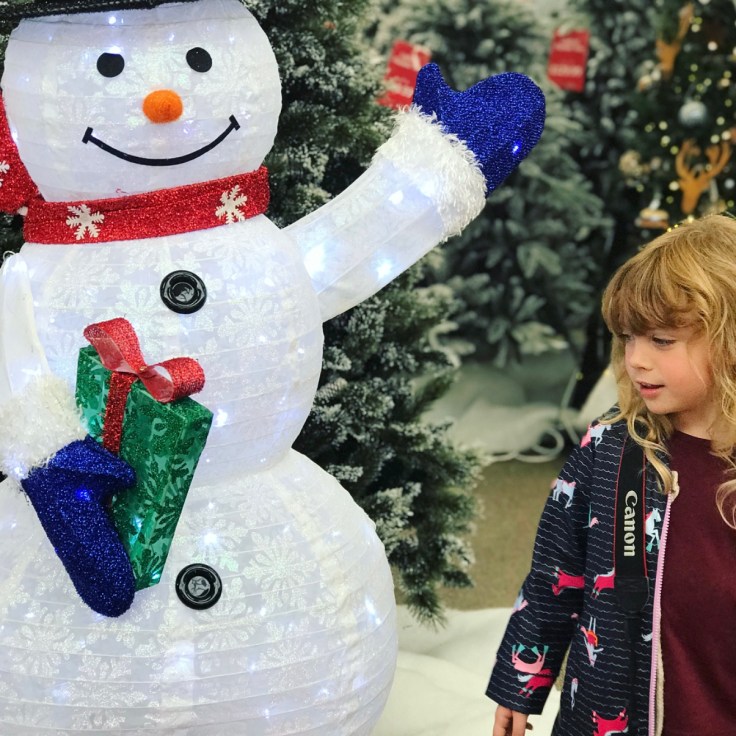 Christmas at Haskins Garden Centre 2018