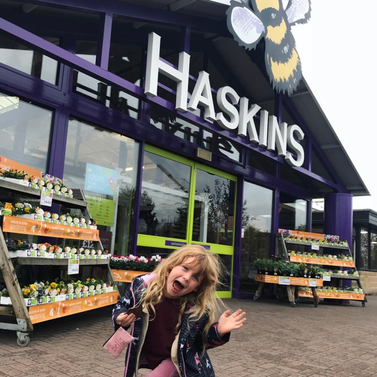 Christmas at Haskins Garden Centre 2018