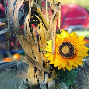 Halloween at Paultons Park