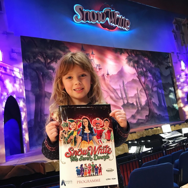 The Anvil Christmas Panto 2018