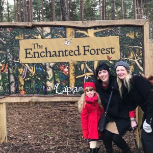 LaplandUK 2018 Review