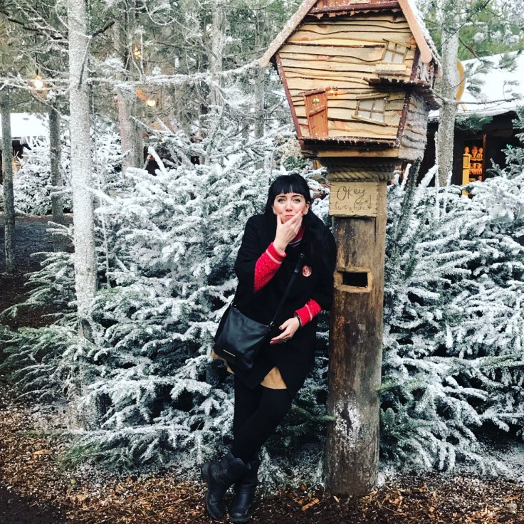 LaplandUK 2018 Review