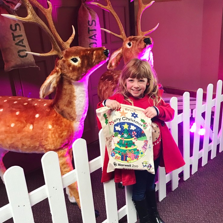 Christmas at Marwell