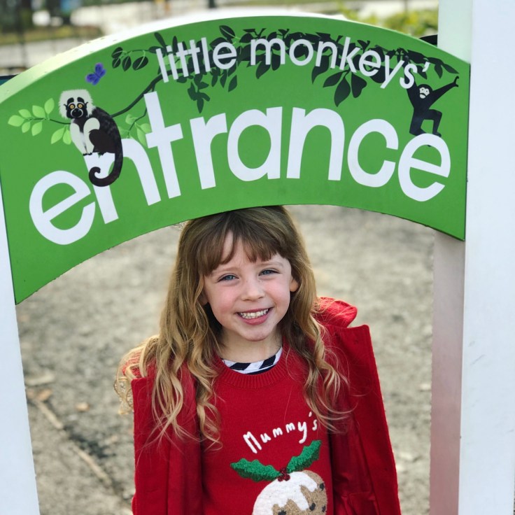 Christmas at Marwell