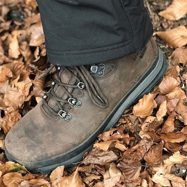 Blackwood Forest in Hampshire