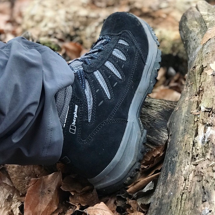 Blackwood Forest in Hampshire