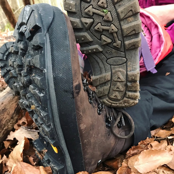 Blackwood Forest Hampshire