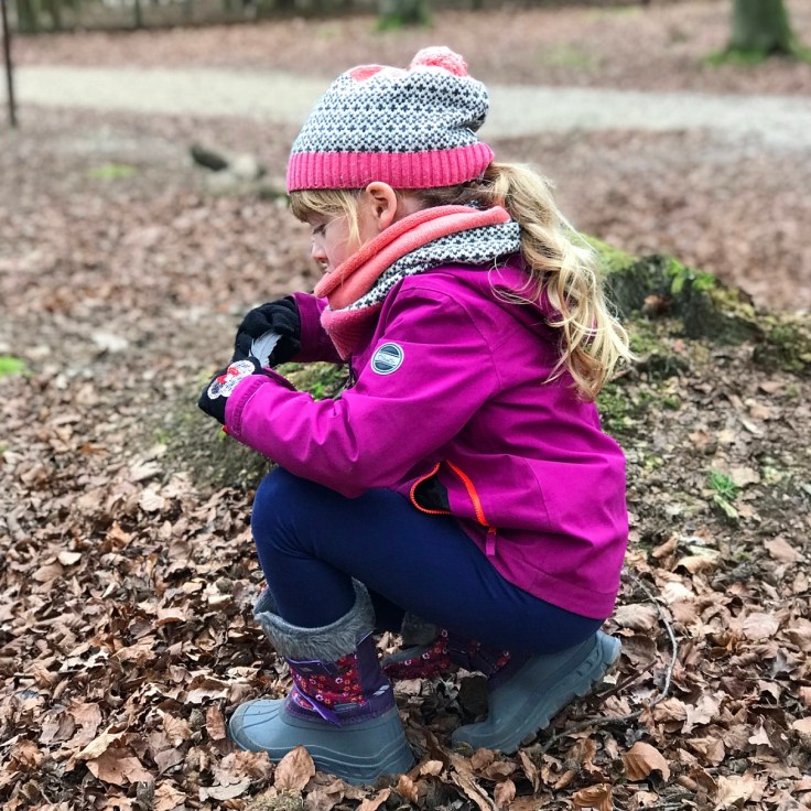 Forest Holidays Blackwood Forest