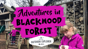 Blackwood Forest Hampshire