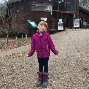 Blackwood Forest in Hampshire