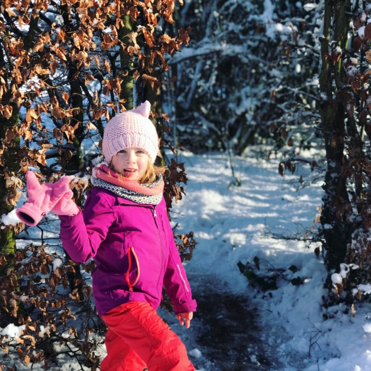 Snow Day Birthday Party