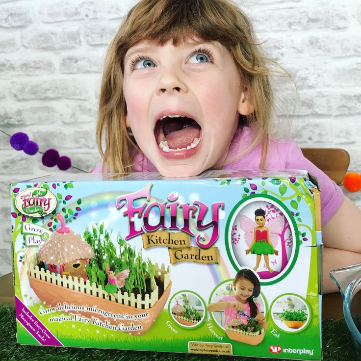 My Fairy Kitchen Garden Review