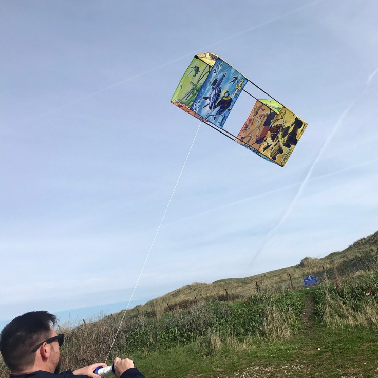 Kitedrone Twinstar Kite Review