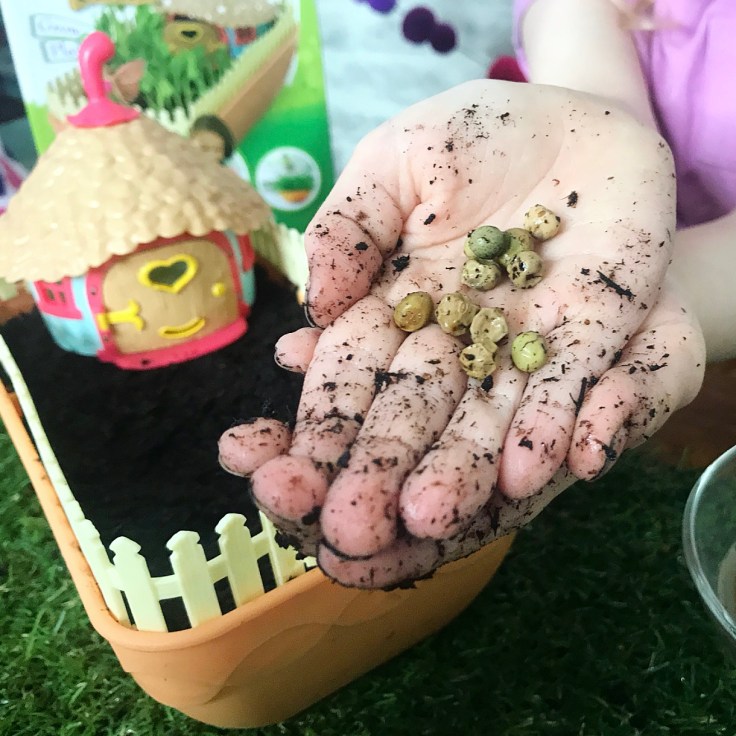 My Fairy Kitchen Garden Review