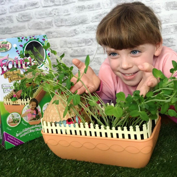 My Fairy Kitchen Garden Review
