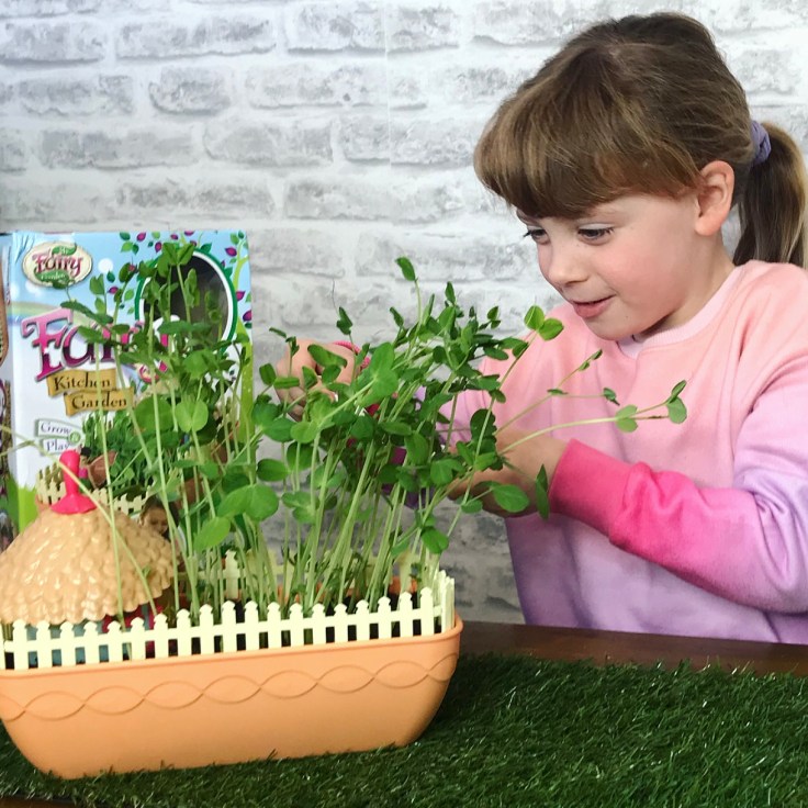 My Fairy Kitchen Garden Review