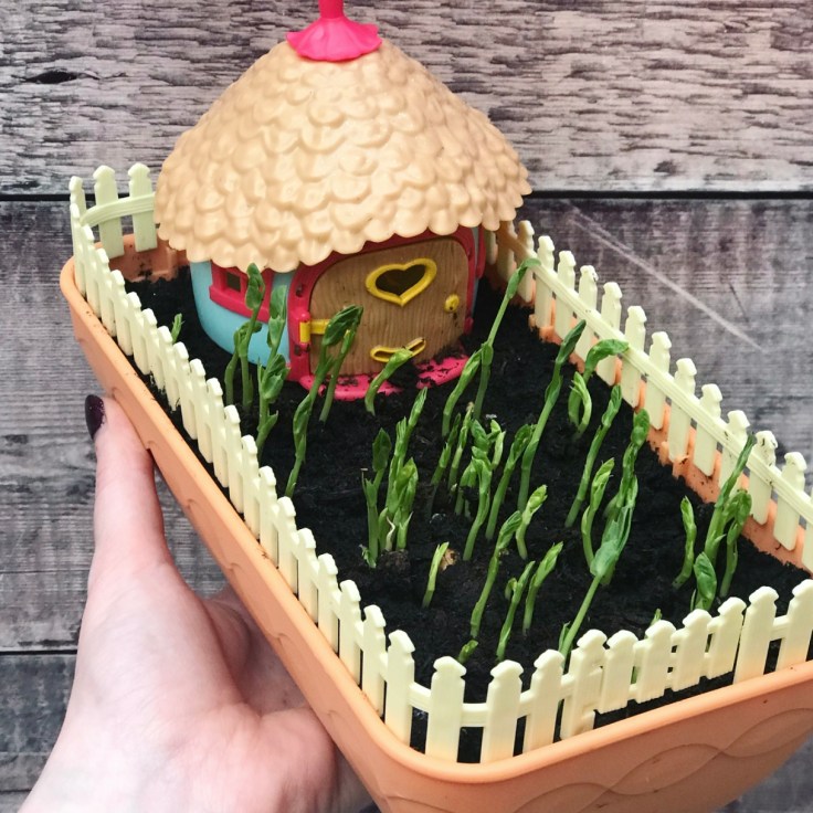 My Fairy Kitchen Garden Review