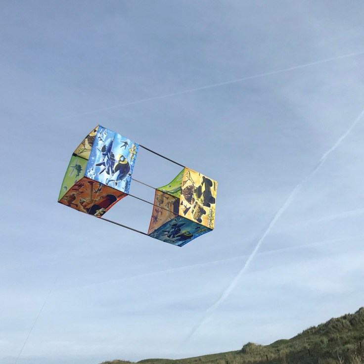 Kitedrone Twinstar Kite Review
