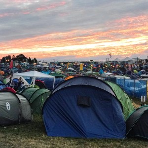 NozStock Review