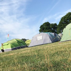 NozStock Review