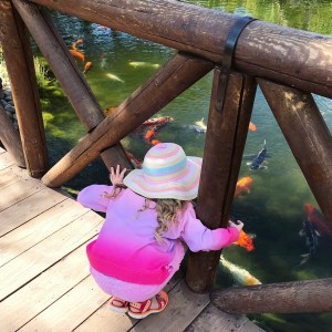 Corralejo, Fuerteventura Holiday Travel Blog