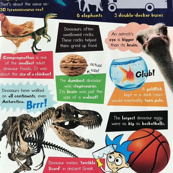 I Know! Magazine Review