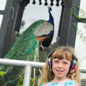 Larmer Tree Festival